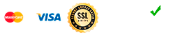 logo payment